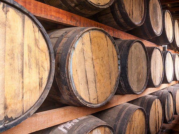 Oak barrels storage stock photo