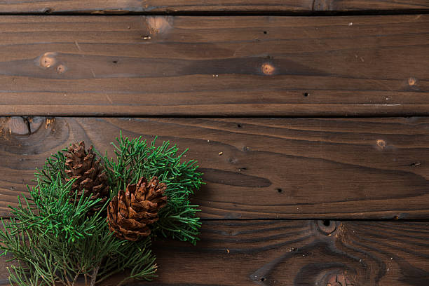istock Christmas decoration: pine flowers cone and leaves 501666254