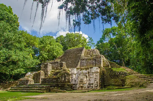 Deep in the forest of Belize ancient rions of the Mayas