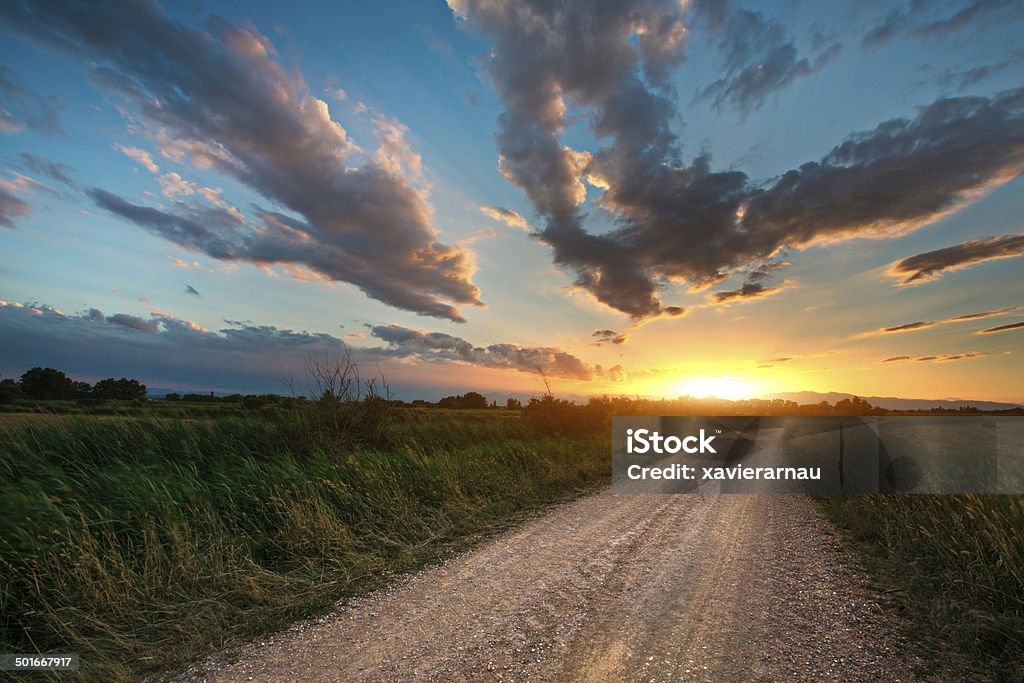 Hermosa puesta de sol en una carretera de campo - Foto de stock de Puesta de sol libre de derechos