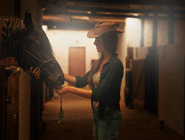 istock Giving her horse the love he deserves 501668321
