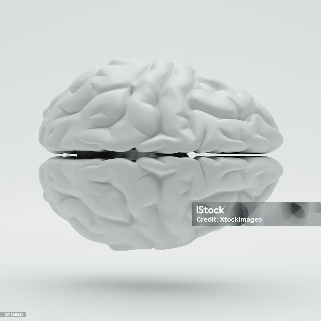 Cervello - Foto stock royalty-free di Anatomia umana