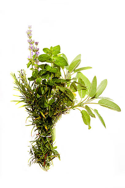 istock Bunch of herbs on white 501669071