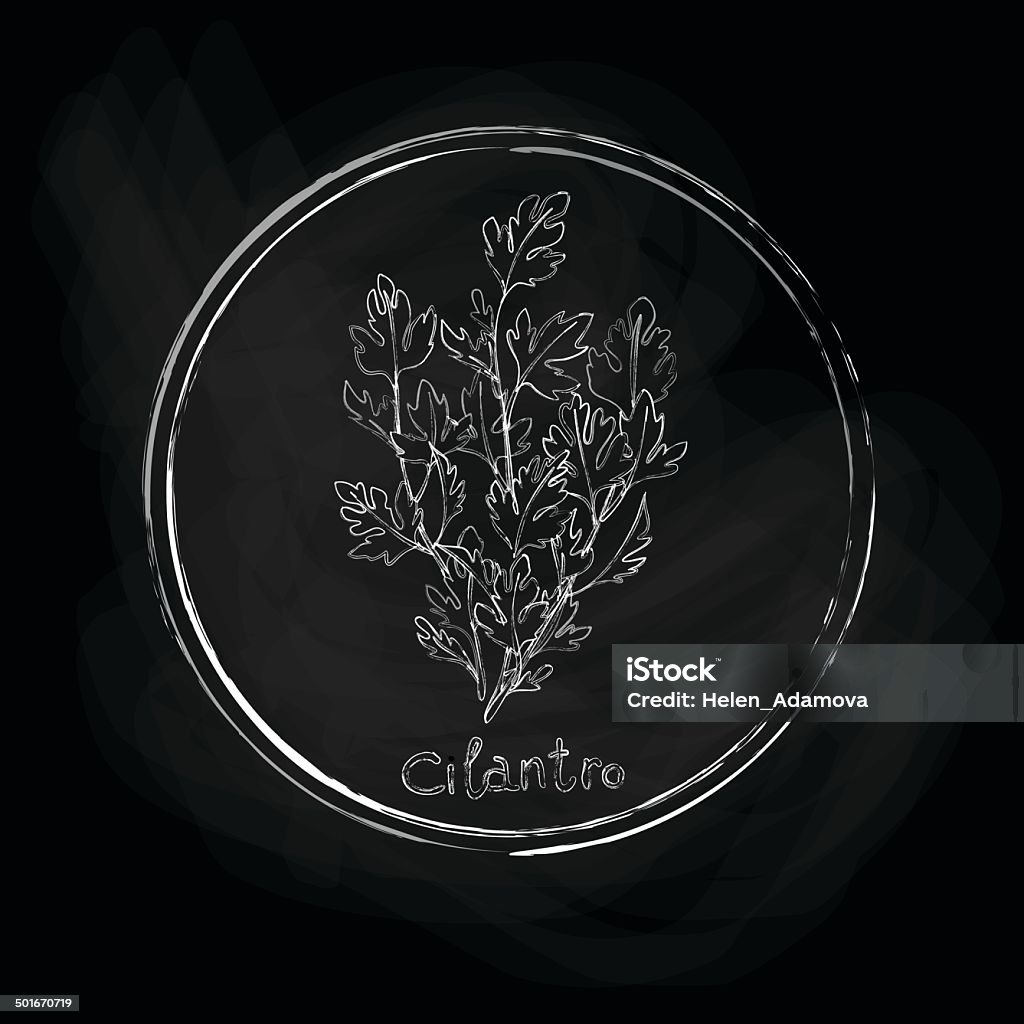 Dunkle Restaurant "cilantro" - Lizenzfrei Essbare Verzierung Vektorgrafik