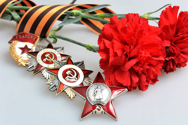 istock Red carnations with Saint George ribbon and orders on gray 501670793