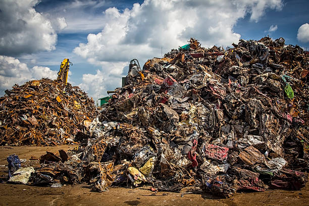 istock Junkyard of cars 501671606