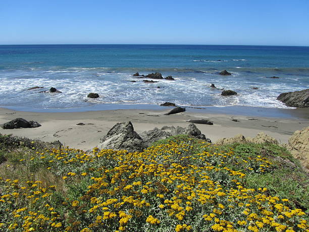 istock Big Sur - California Coastal Scene 501671765