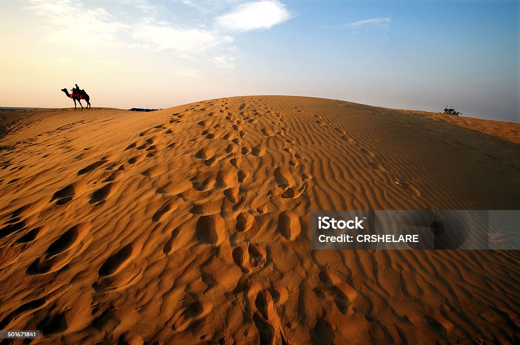 Rippled sand dunes at sunset Absence Stock Photo