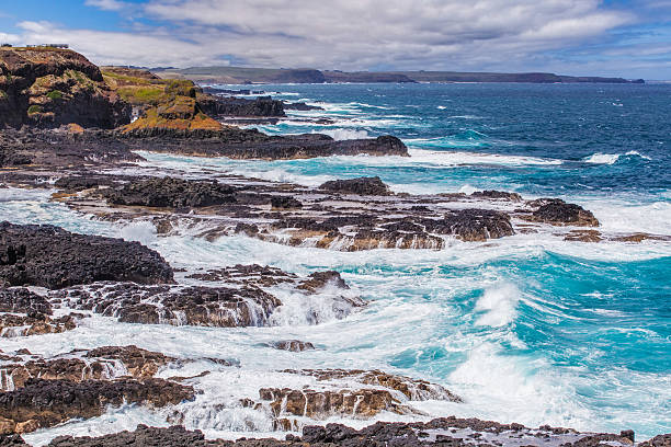 istock Rugged coastline of Nobbies, Phillip Island, Australia 501674608
