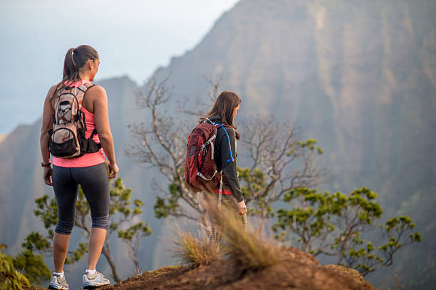 istock Friends Hiking Together in the Mountains 501675758