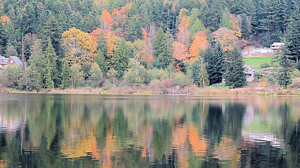 istock Autumn on the Lake 501678664
