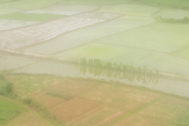 istock Cultivated fields in fog day 501679186