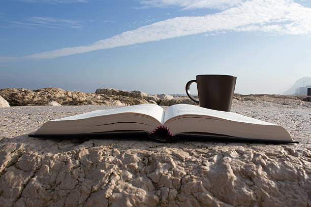 istock Reading a book near the sea with a tea 501680328