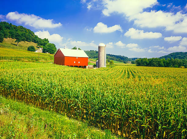 wisconsin farm i kukurydzy pole - farm barn zdjęcia i obrazy z banku zdjęć