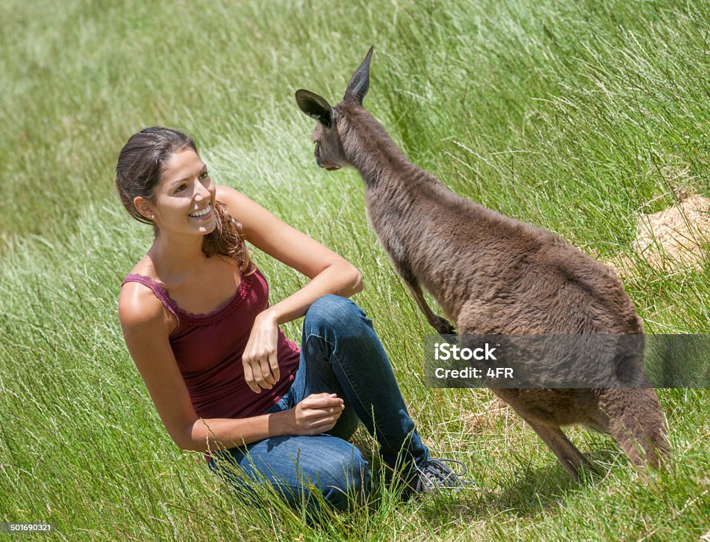 Kangur Wildlife doświadczenia, Australia - Zbiór zdjęć royalty-free (20-24 lata)