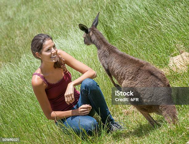 Kangur Wildlife Doświadczenia Australia - zdjęcia stockowe i więcej obrazów 20-24 lata - 20-24 lata, 20-29 lat, Australia