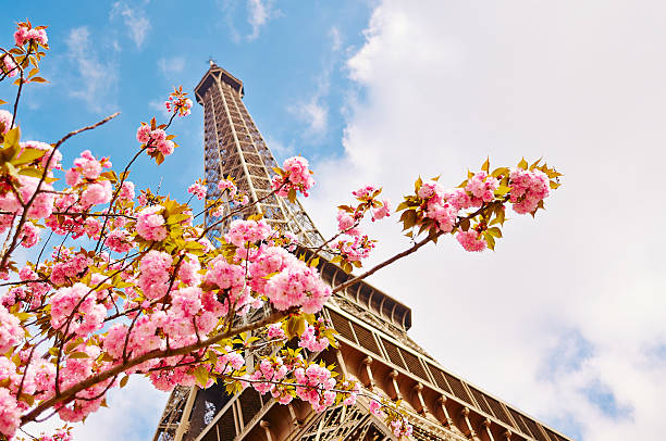 Springtime Eiffel Tower in Paris stock photo