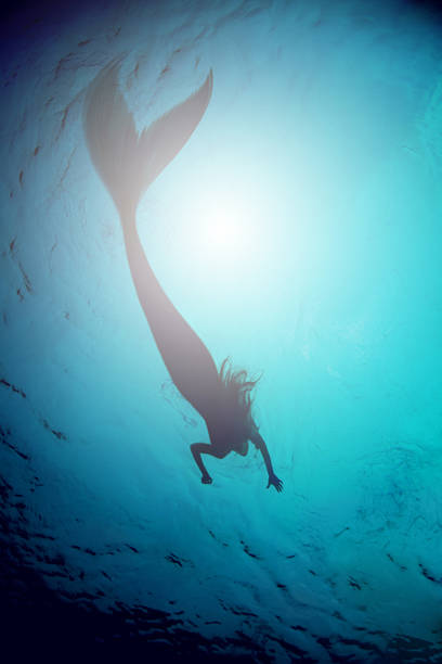 istock What beauty lurks beneath? 501691457