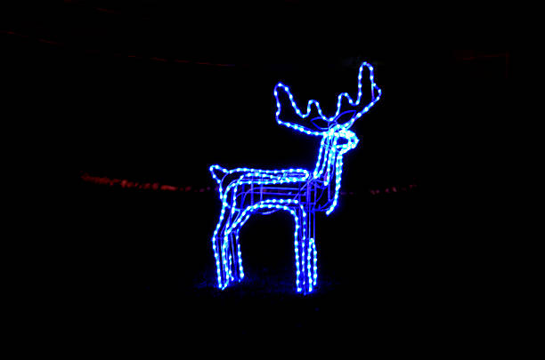 Picture of a The traditional Christmas reindeer