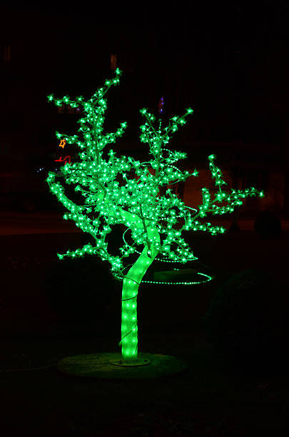 istock Christmas scene with illuminated tree outdoor 501700326