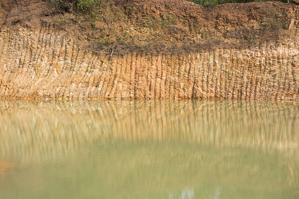 istock swamp area out of Excavator working. Landscape 501700358