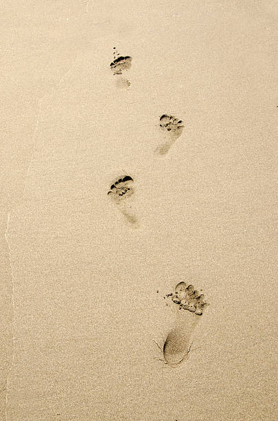 impronta - human foot barefoot sole of foot human toe foto e immagini stock