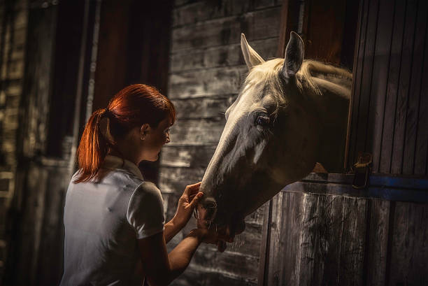 Woman feeding a horse in a stable at night