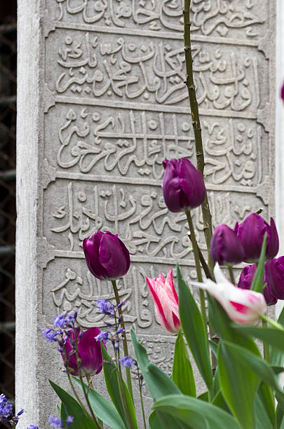 memorial tulipani - new life death cemetery flower foto e immagini stock