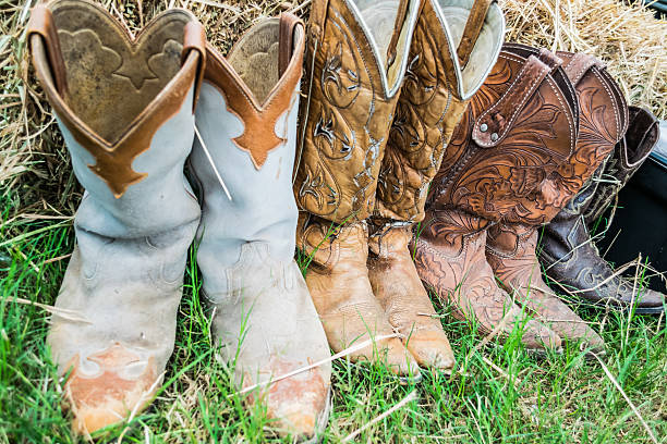 istock vintage cowboy boot in the cow farm 501709520
