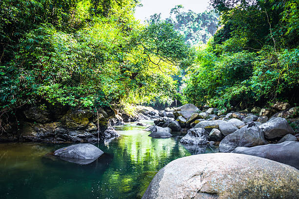 istock Waterfall,khaosok thailand- Stock Image 501711752