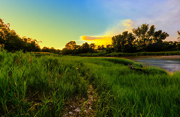 istock Scenic grass field sun set scene 501711967
