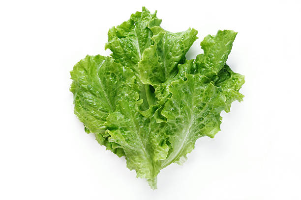 istock Bunch of Salad Leaves 501712744