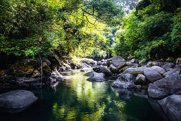 istock Waterfall,khaosok thailand- Stock Image 501713248