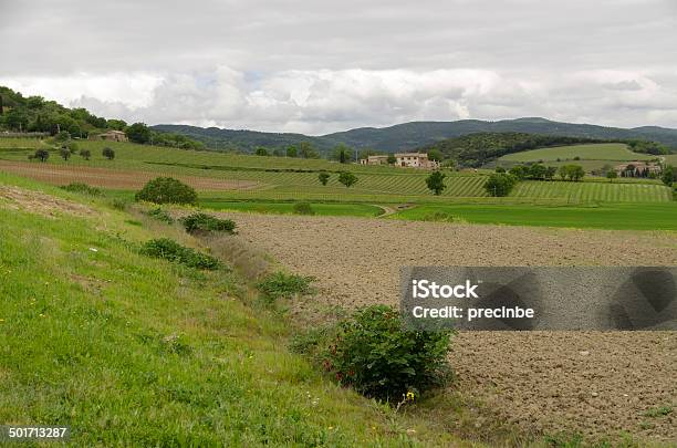 Tuscany Stockfoto und mehr Bilder von Anhöhe - Anhöhe, Chianti-Region, Feld