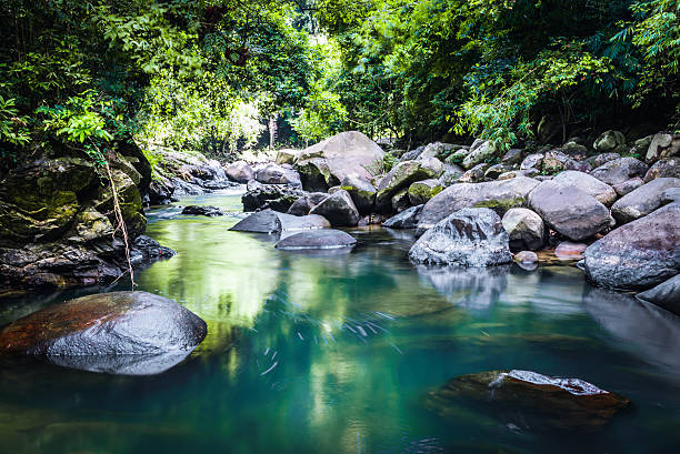 istock Waterfall,khaosok thailand- Stock Image 501714502