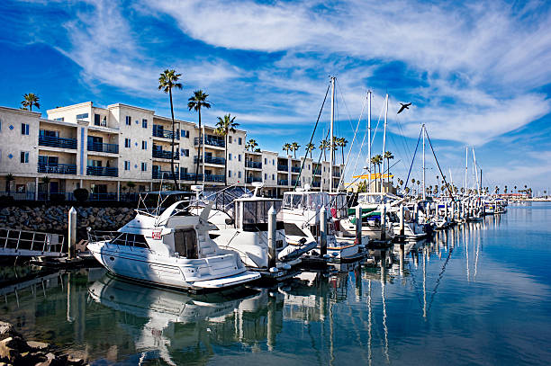 istock Boat Harbor in California.. 501716334