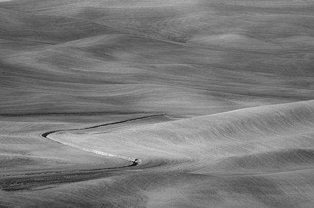 istock Rolling Hills of Palouse 501730617