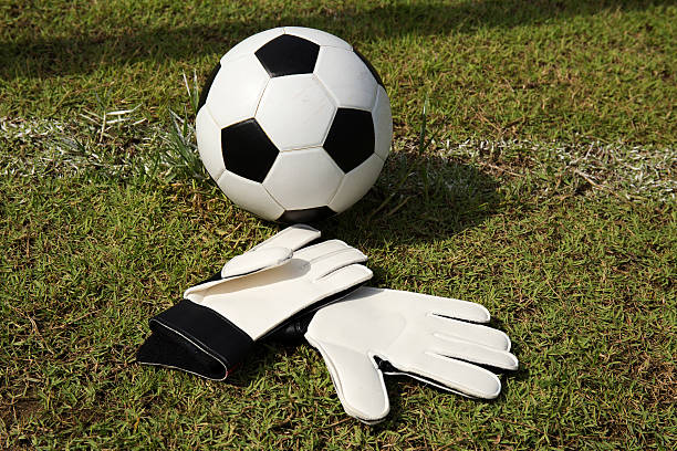 istock Gloves and soccer ball 501733117