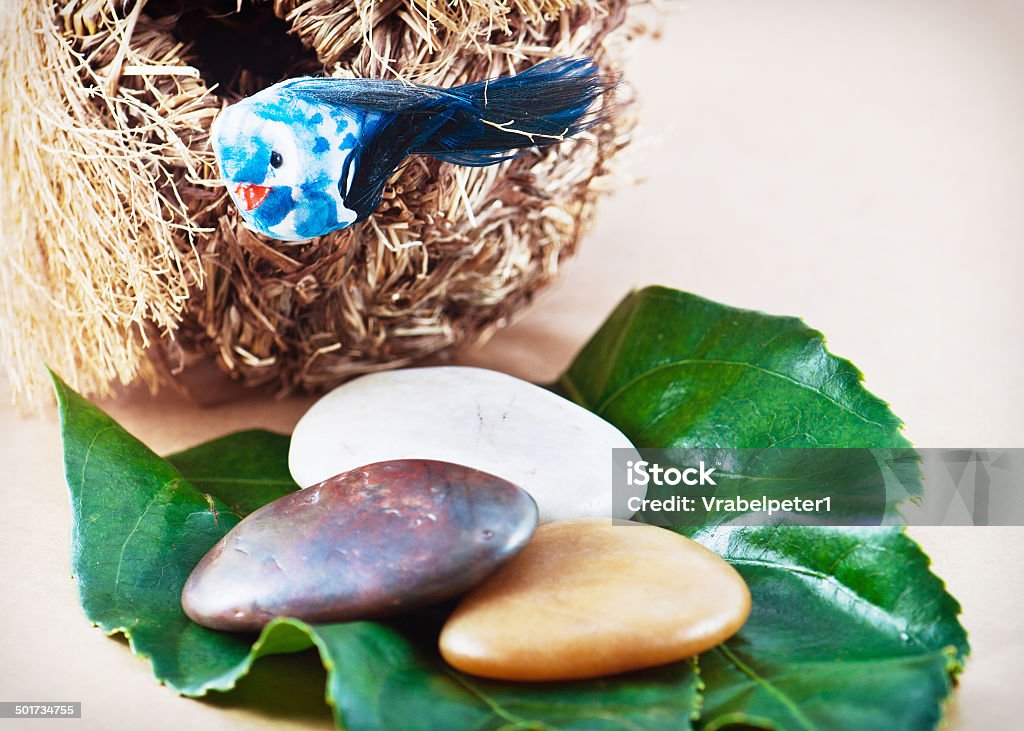 装飾的な鳥の巣、ストーン - まぶしいのロイヤリティフリーストックフォト