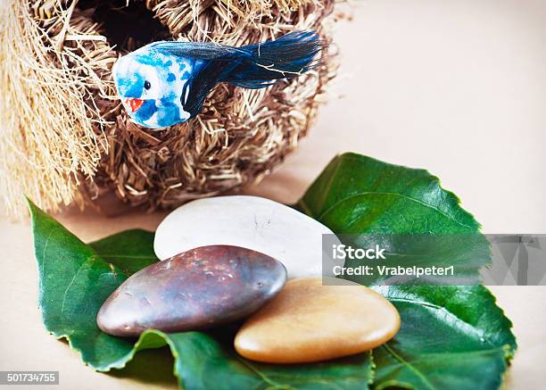 Foto de Decorativa Ninho De Pássaros Com Pedras e mais fotos de stock de Asa animal - Asa animal, Azul, Beleza