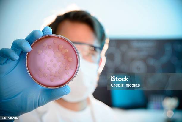 Cultura Microbiológico Foto de stock y más banco de imágenes de Agarrar - Agarrar, Bacteria, Barba - Pelo facial