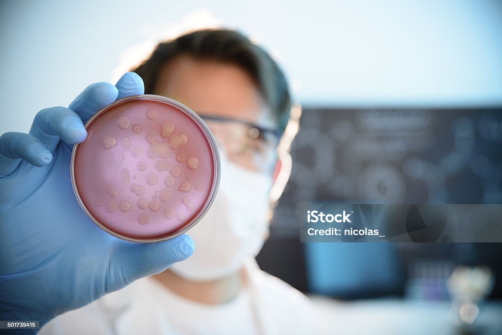 Cultura di microbiologia - Foto stock royalty-free di Ambientazione interna