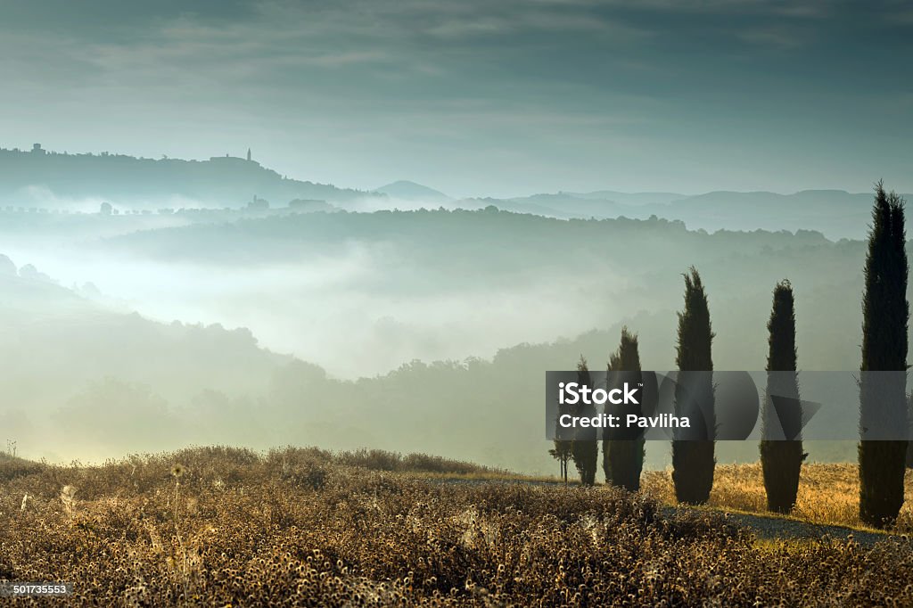 Pienza paesaggio con Cypresses in Toscana, Italia - Foto stock royalty-free di Basilicata