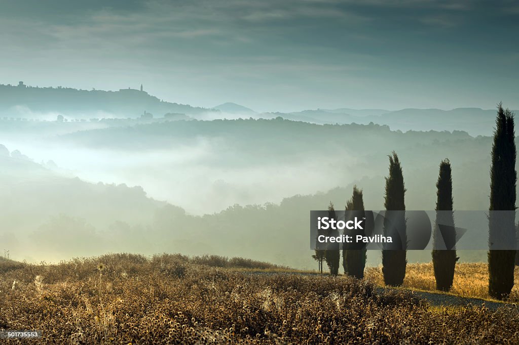 Pienza Krajobraz z Cyprysowate w Toskania, Włochy - Zbiór zdjęć royalty-free (Basilicata)