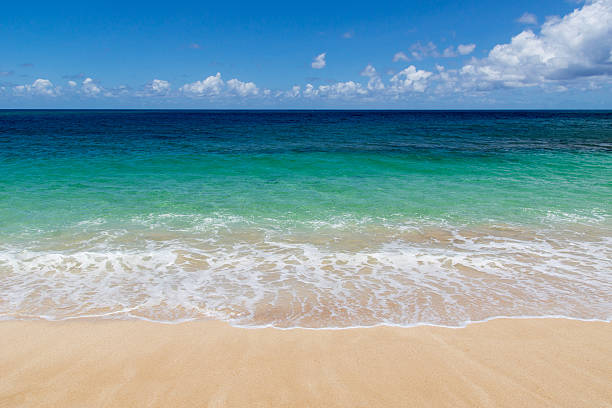 istock Tropical beach with clear water and no people 501736189
