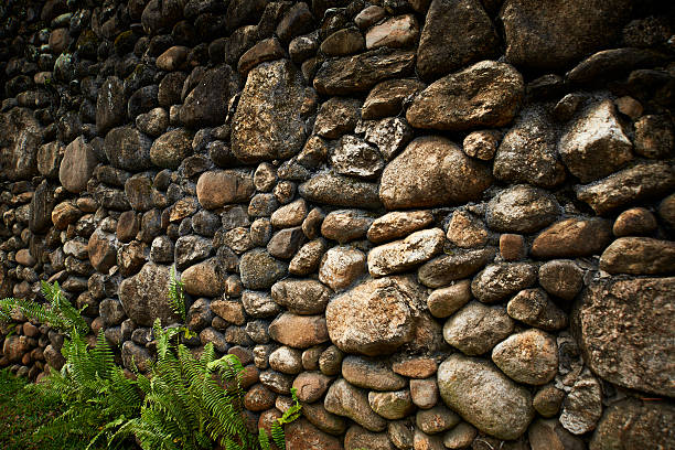 Rock and Concrete Wall Rustic stone wall with ferns stone wall stone wall crag stock pictures, royalty-free photos & images