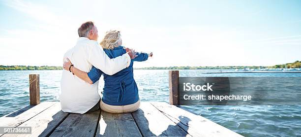 Omw Is That A Dolphin Stock Photo - Download Image Now - Couple - Relationship, Retirement, Senior Adult