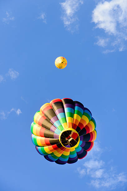 istock Colorful Hot Air Balloons - Vertical 501737649