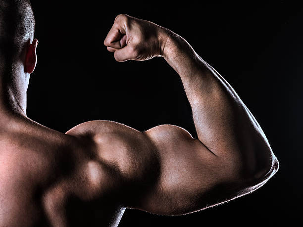 istock bicep of bodybuilder from behind on black background 501737706