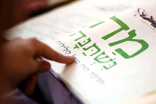 A woman reads the Haggadah (traditional text) during blessings for the Jewish holiday of Passover Dinner